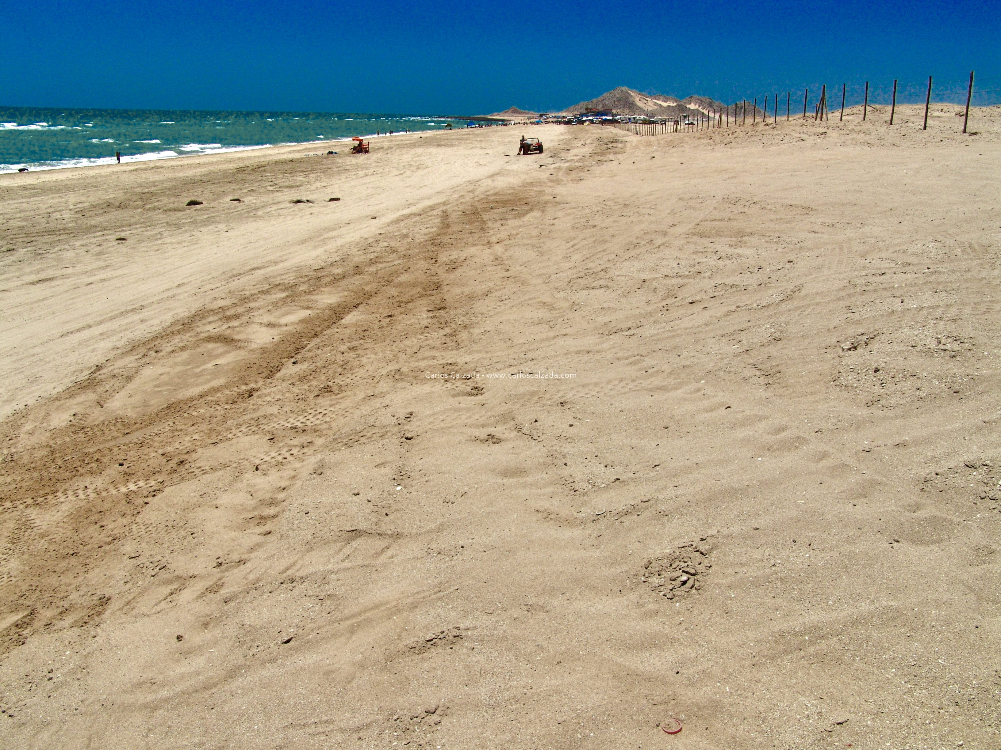 Arenosa_2008 (27).jpg